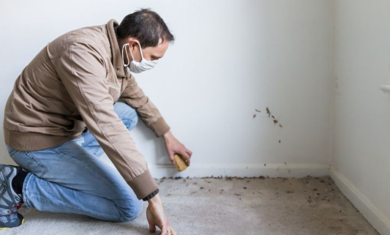 Effective Solutions For Home Water Management