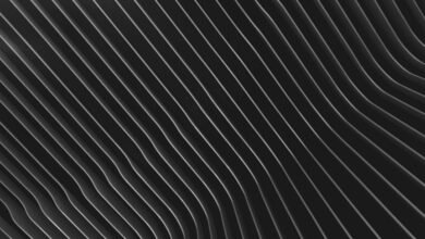 explore line patterns carefully