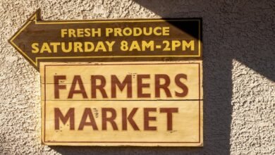 market expansion digital guide