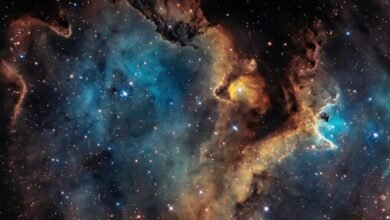 quantum rift stellar apex