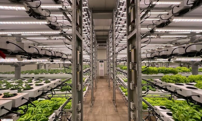 unlock creative growth strategies